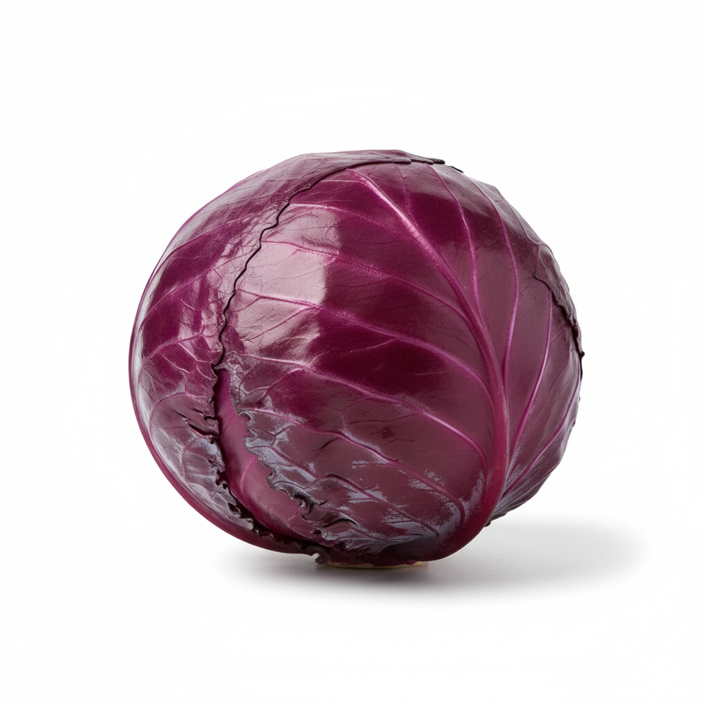 Lombarda