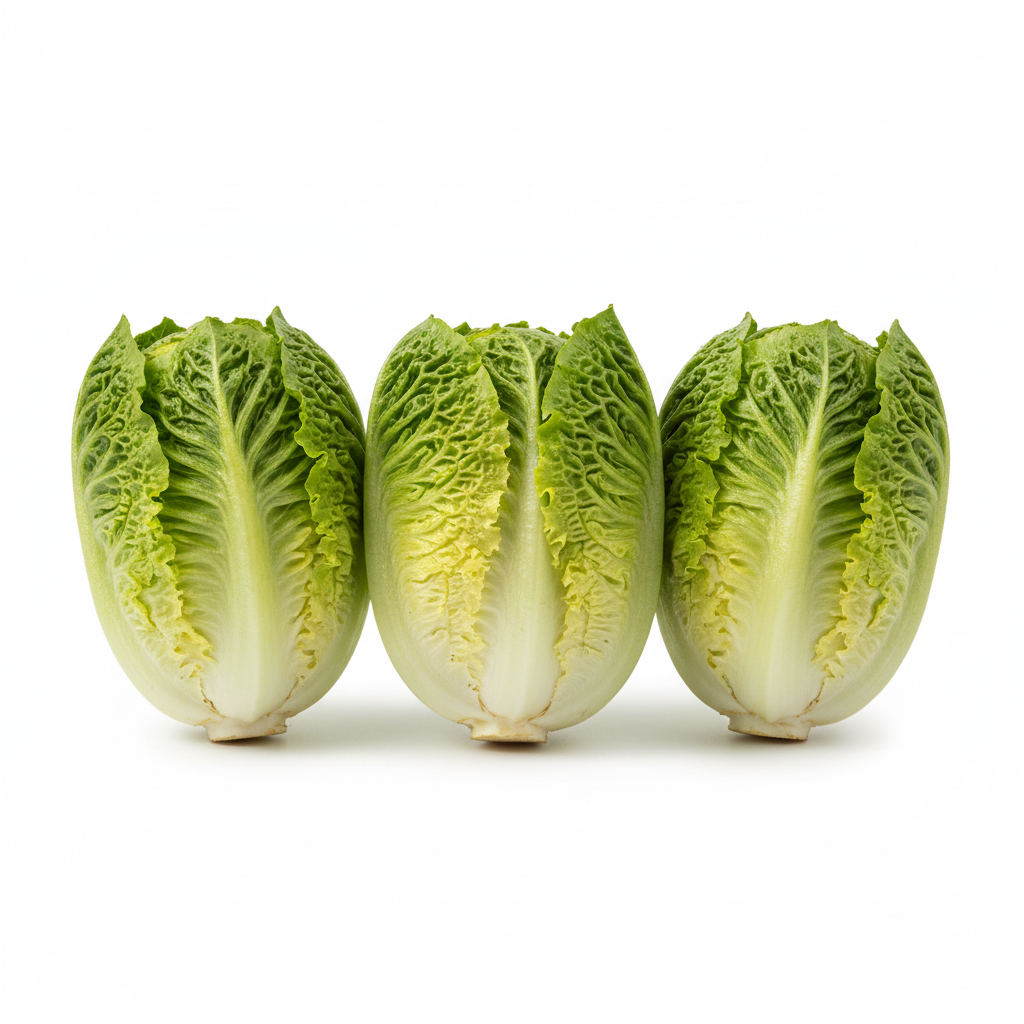 Cogollos Lechuga