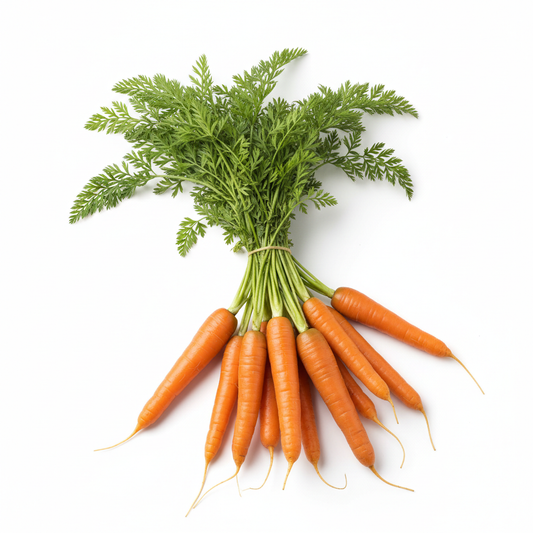 Haz una imagen de unas zanahorias sobre un fondo blanco en 1:1 cuadrado