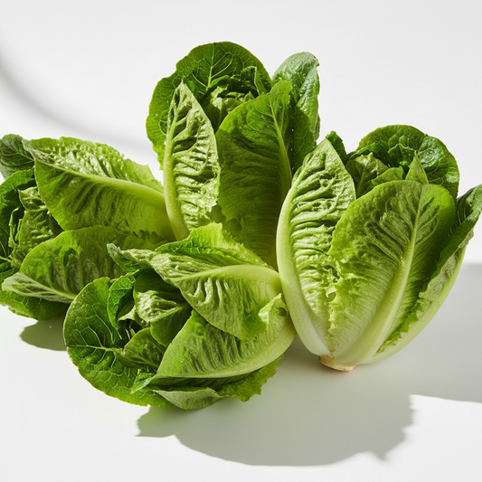 Lechuga Corazones Bandeja