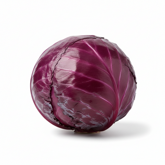 Lombarda