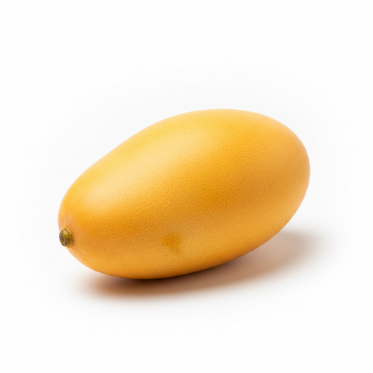 Mango de avión