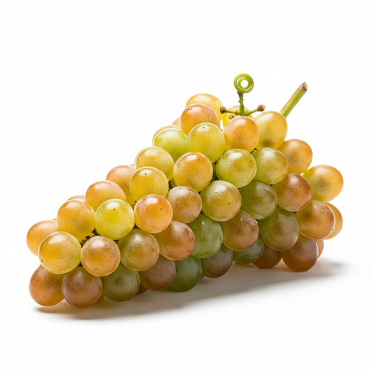 Uvas Moscatel Italiana fondo blanco 1:1